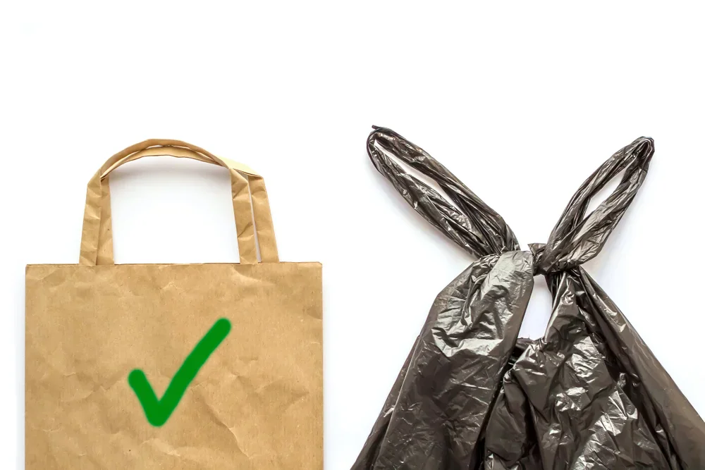 Resolving The Age-old Debate. Paper Vs Plastic Bags