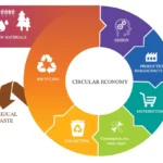 Circular Economy – Can We Be Less Wasteful